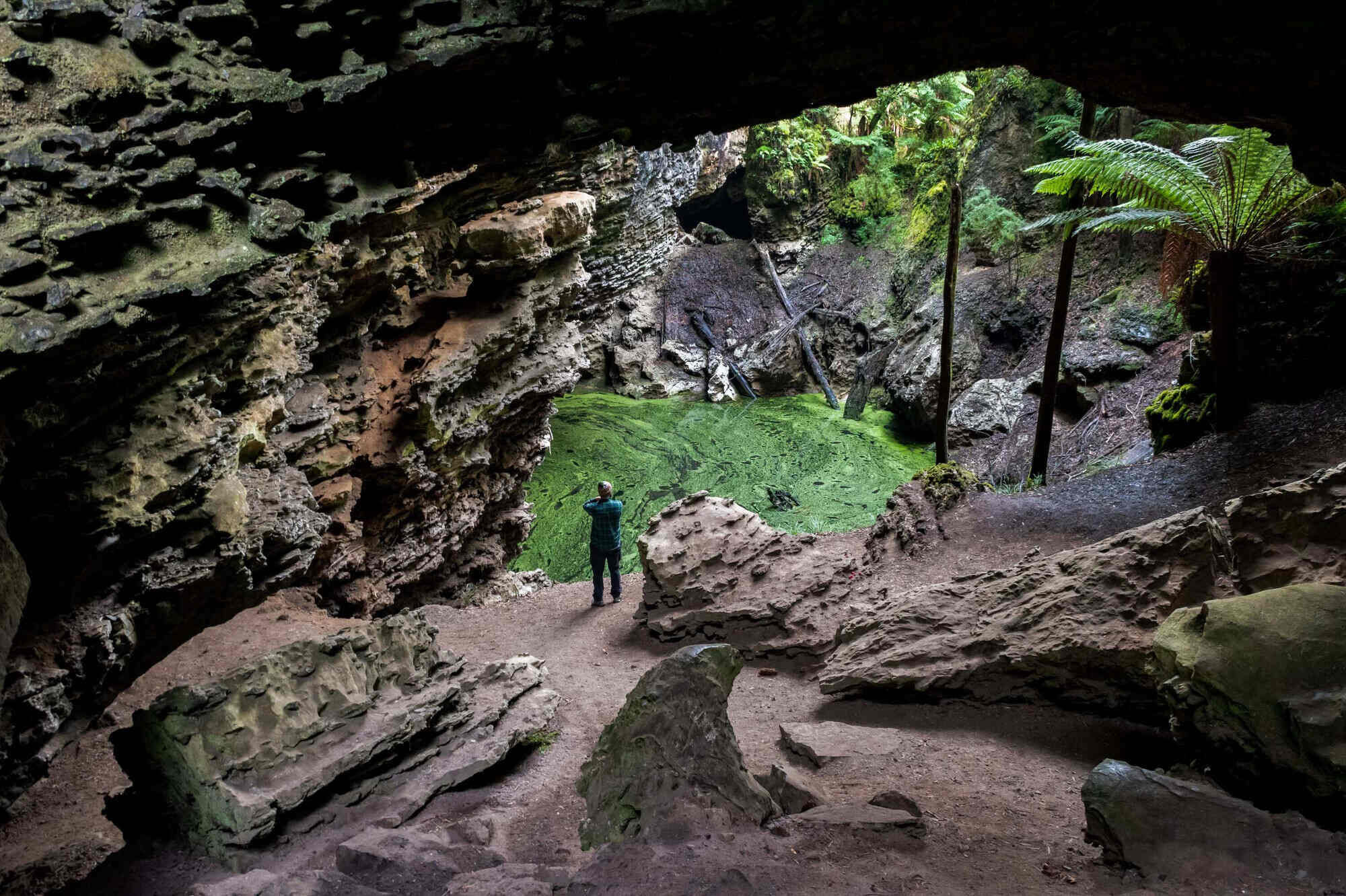 Trowutta Arch – An Unmissable Short Tarkine Walk (Tasmania)