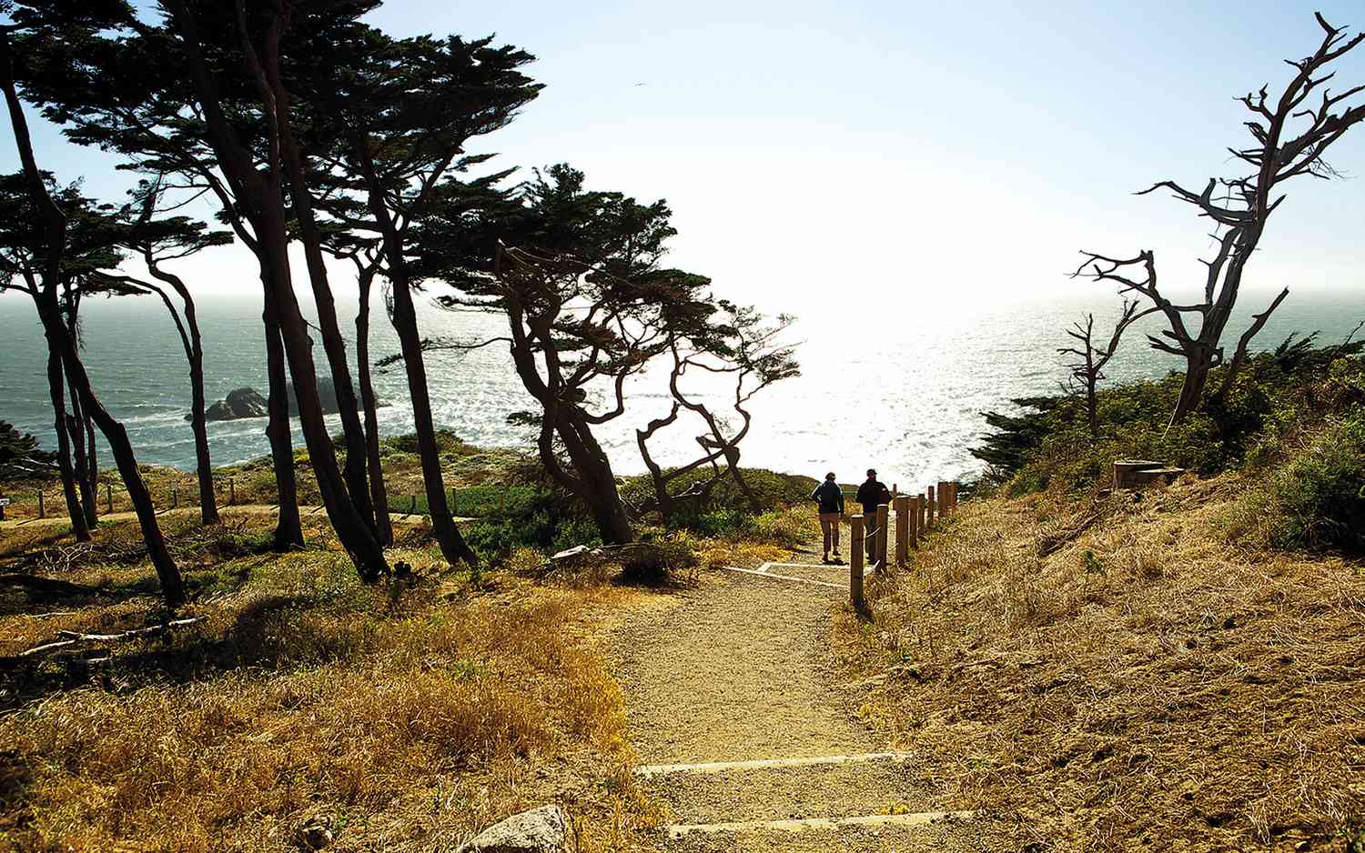 UPDATED: Backpacking San Francisco Travel Guide