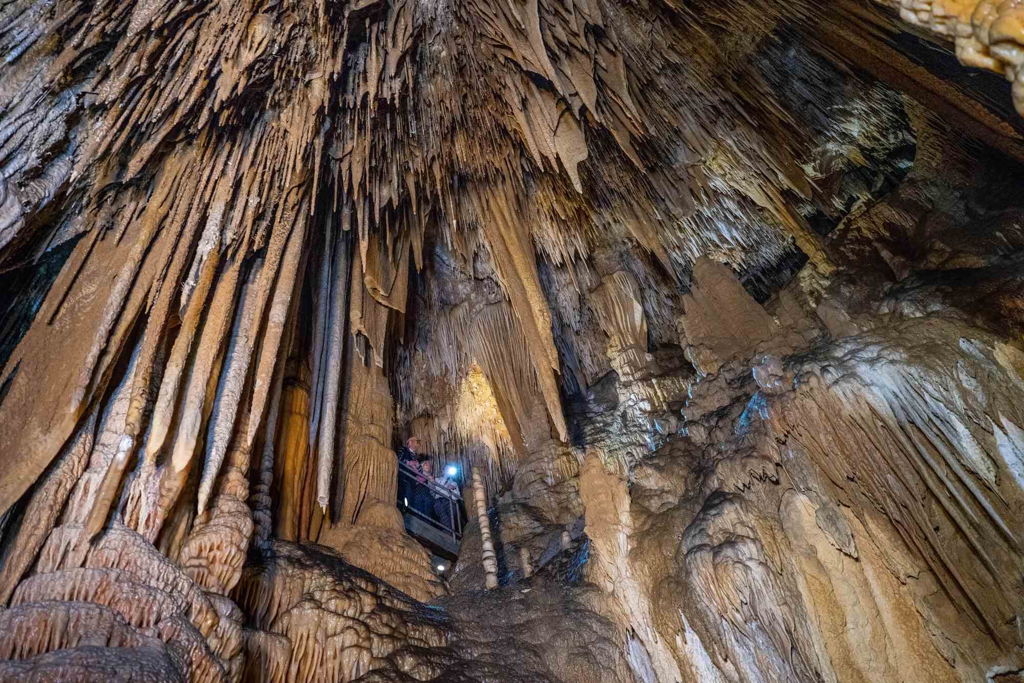 Visiting Hastings Caves And Thermal Springs: Tasmania’s Best Cave Tour