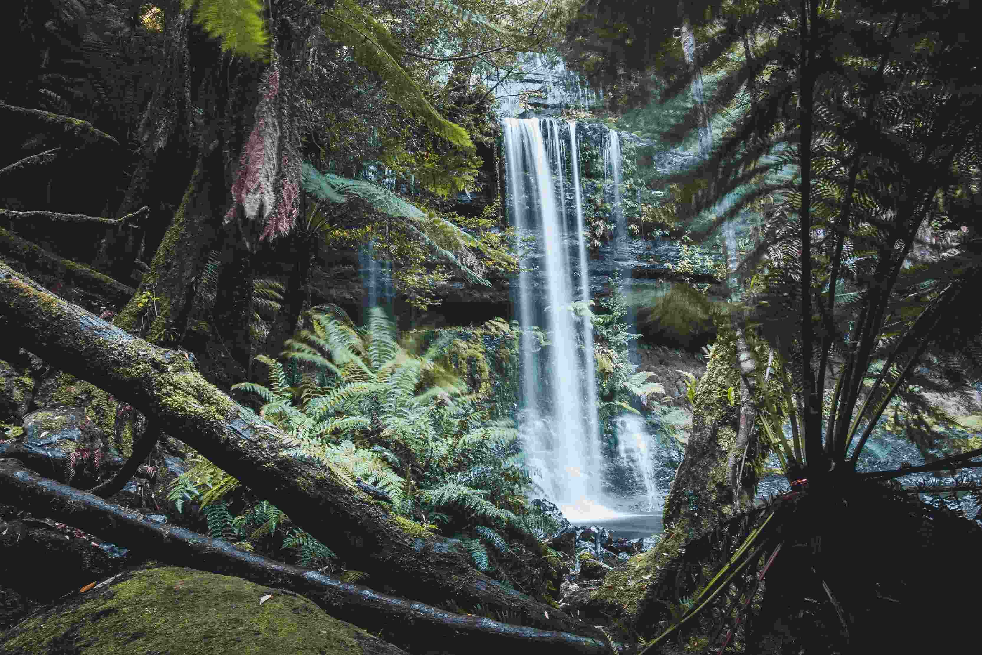 Visiting Russell Falls Tasmania: The Most Iconic Tassie Waterfall