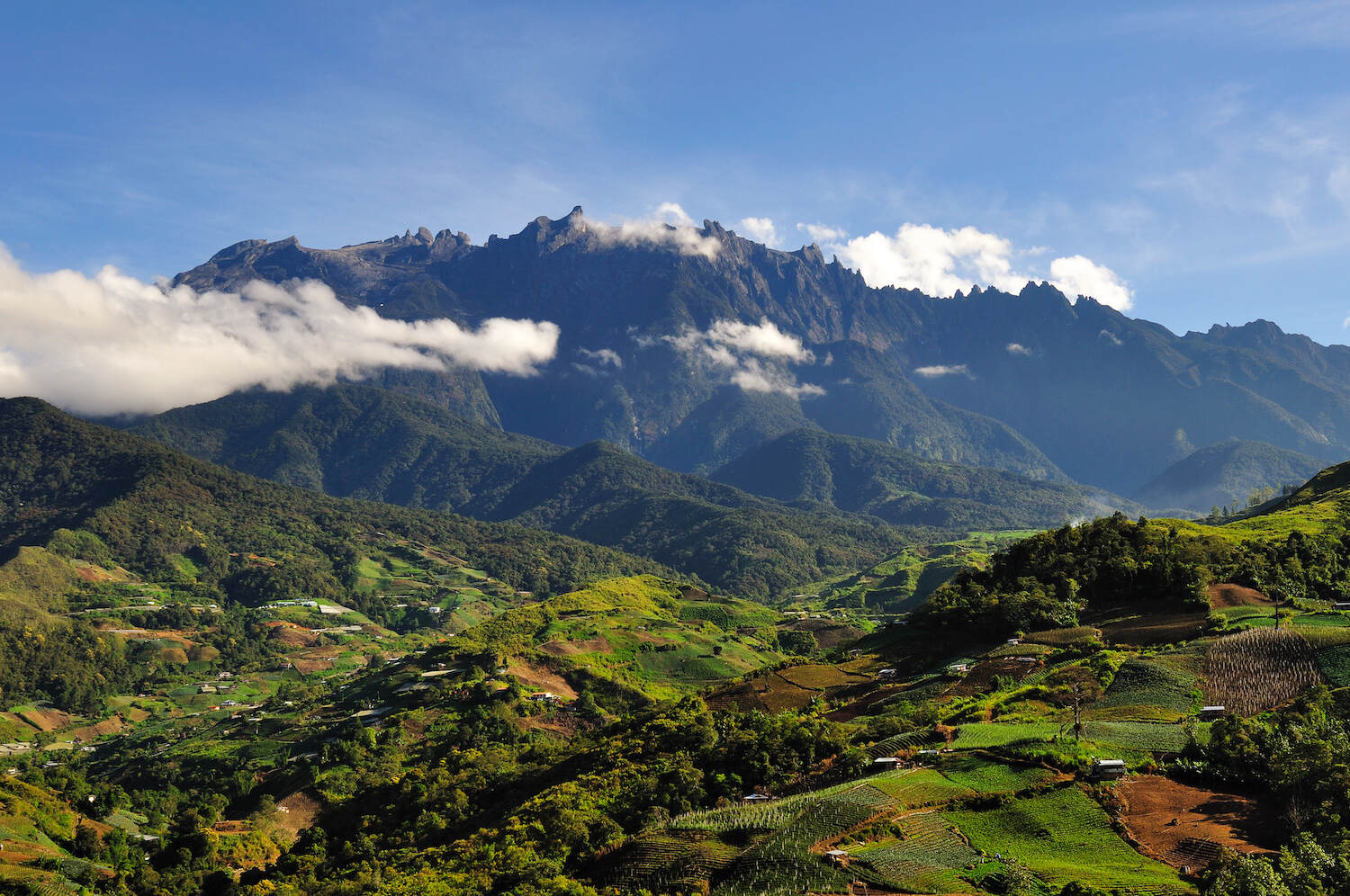 What To Do In Kinabalu Park – Complete Trail Guide