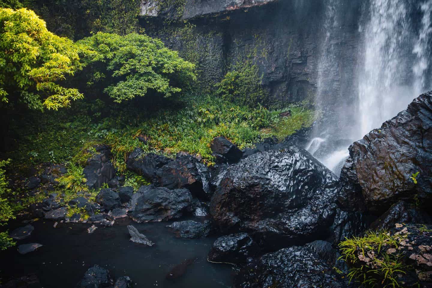 Zillie Falls, Millaa Millaa, Queensland – What To Expect