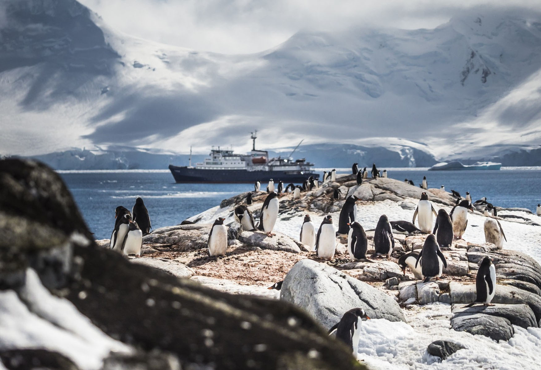 Amazing Antarctica In Photos