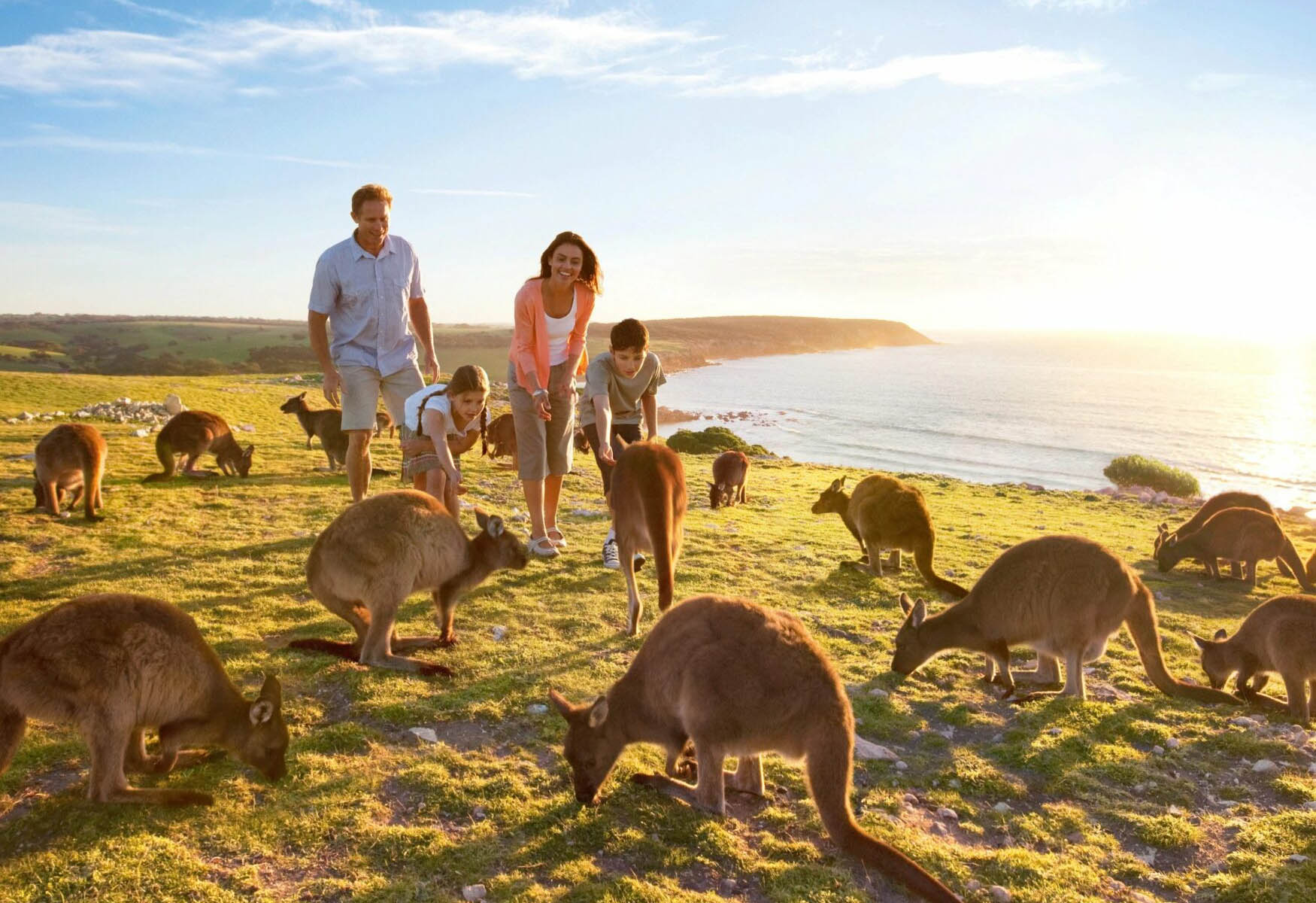 Best Of Kangaroo Island, South Australia