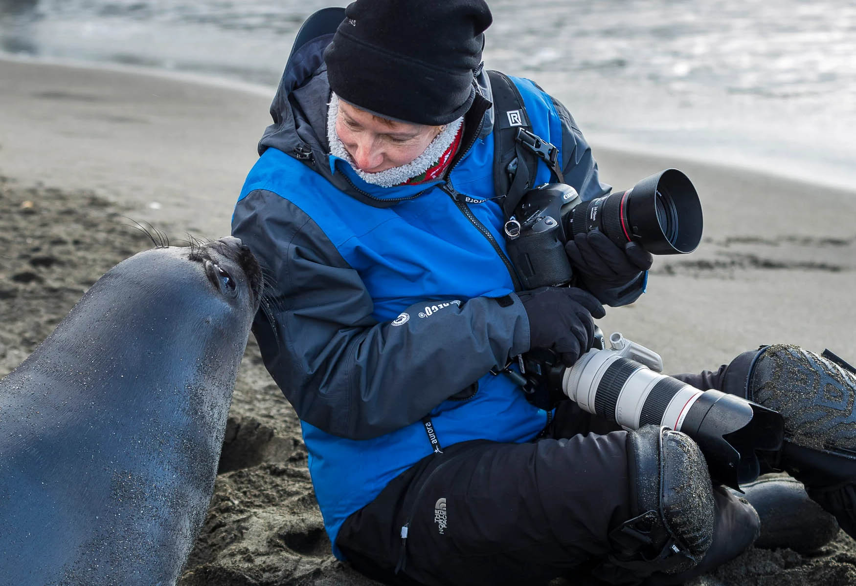 Camera Gear For Antarctica