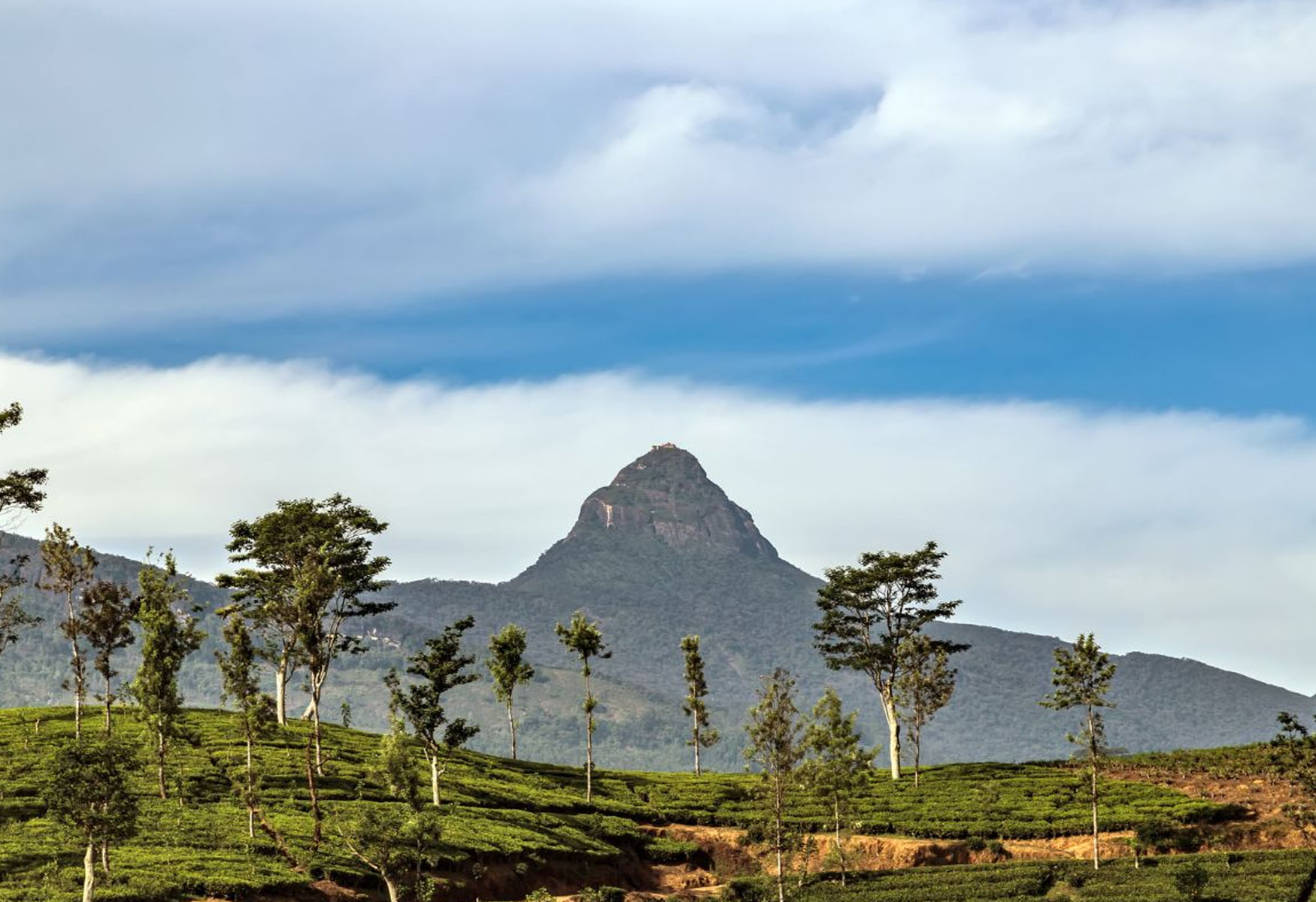 Climb Adam’s Peak – Sri Lanka’s Sacred Pilgrimage