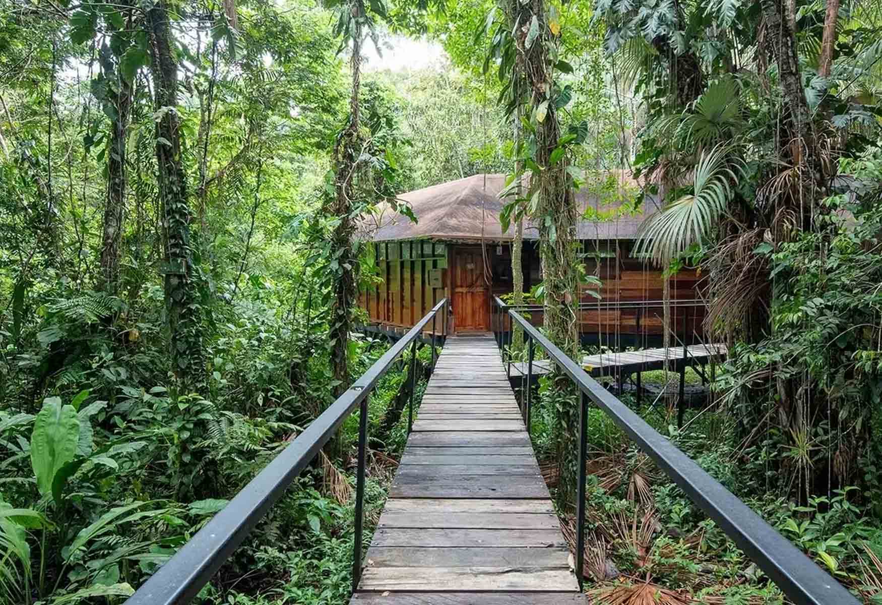 Eco Lodges In Ecuador [15 STUNNING PICKS]