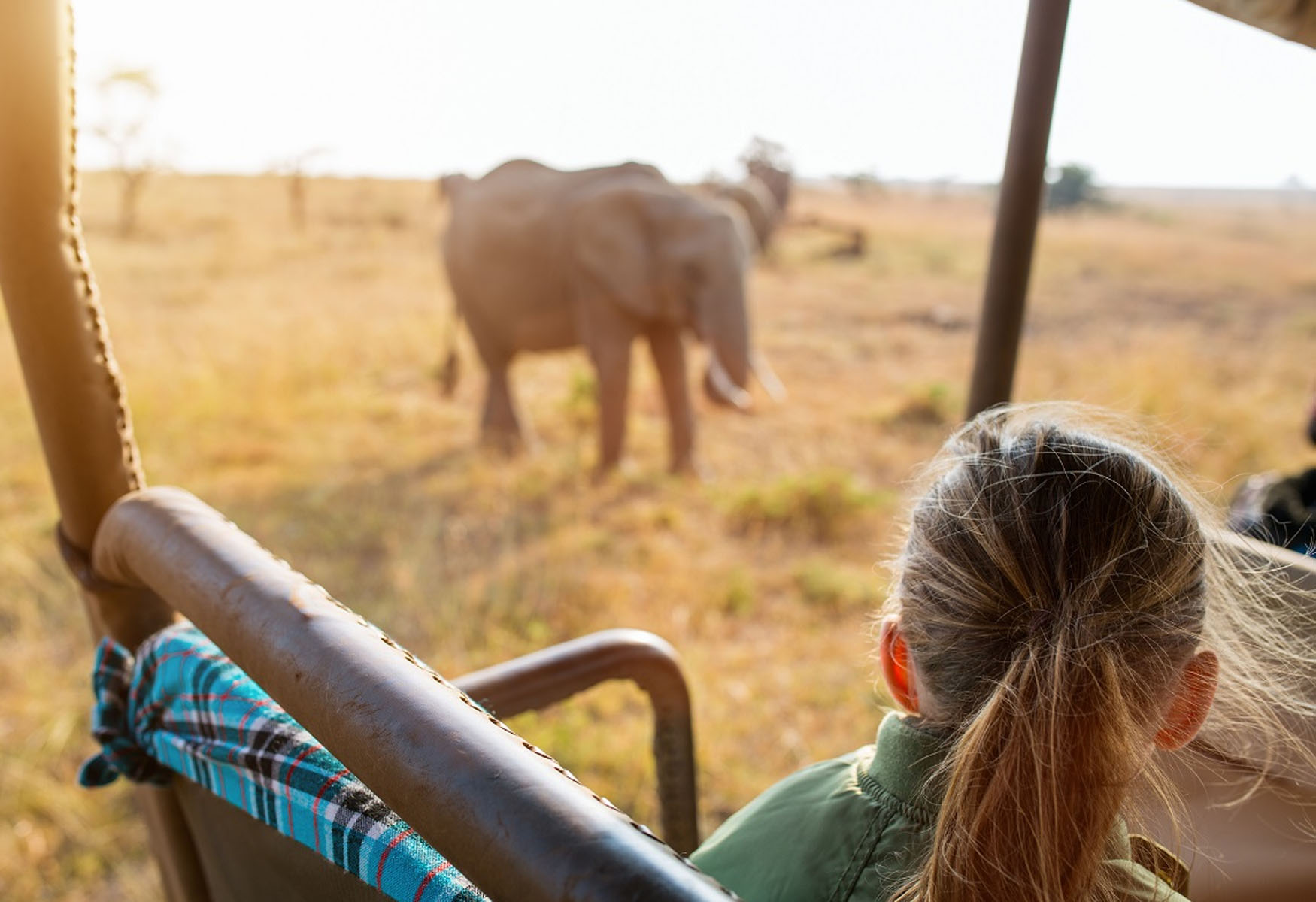 Ethical Animal Tourism: Is Wildlife Tourism OK?