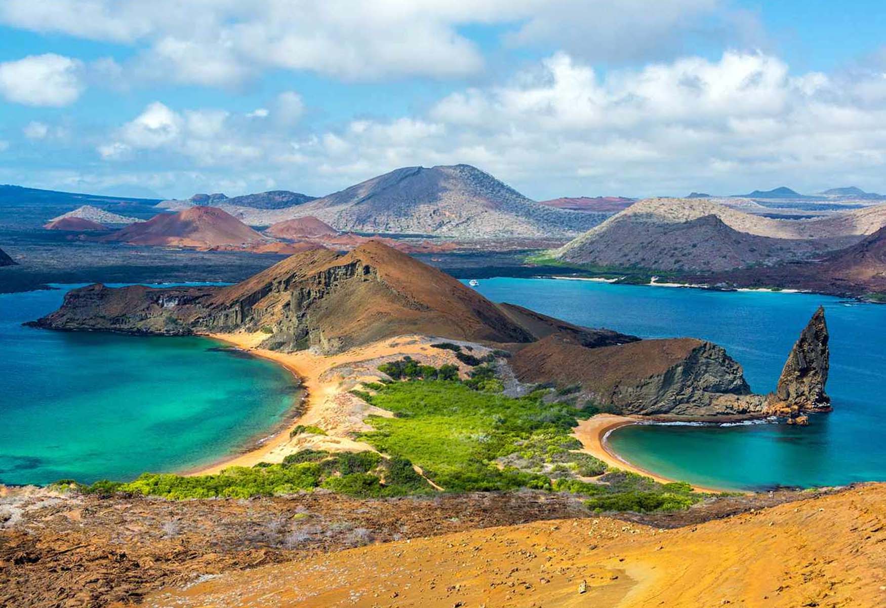 Galapagos Tours (A No Stress Guide)