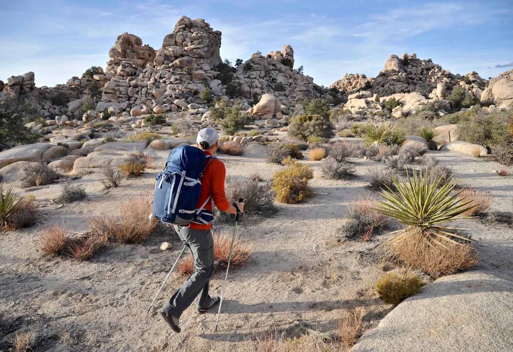 Hiking In Joshua Tree National Park: 8 Trails To Conquer