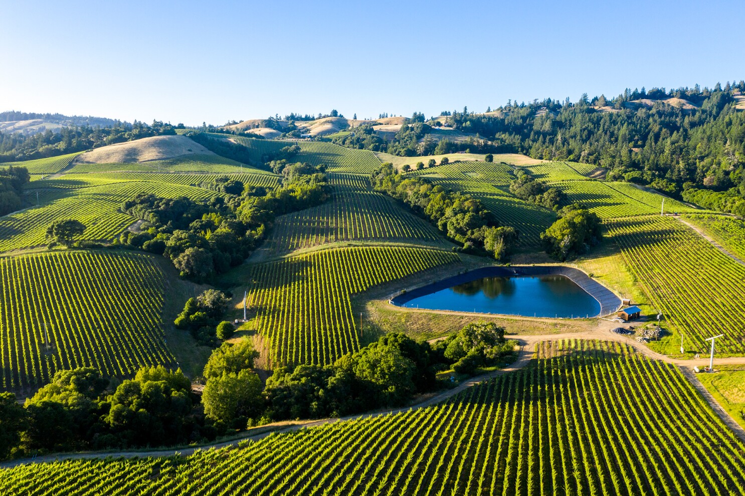 The 10 Best Wineries & Vineyards In Napa Valley, CA