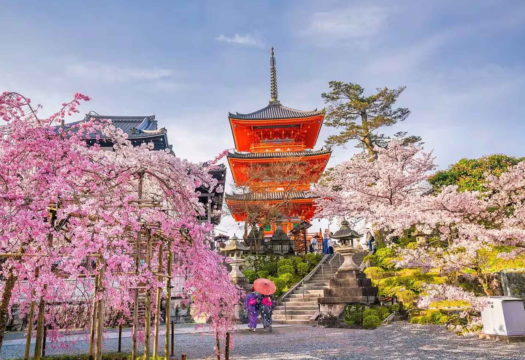 Where To Stay In Nara: The BEST Areas