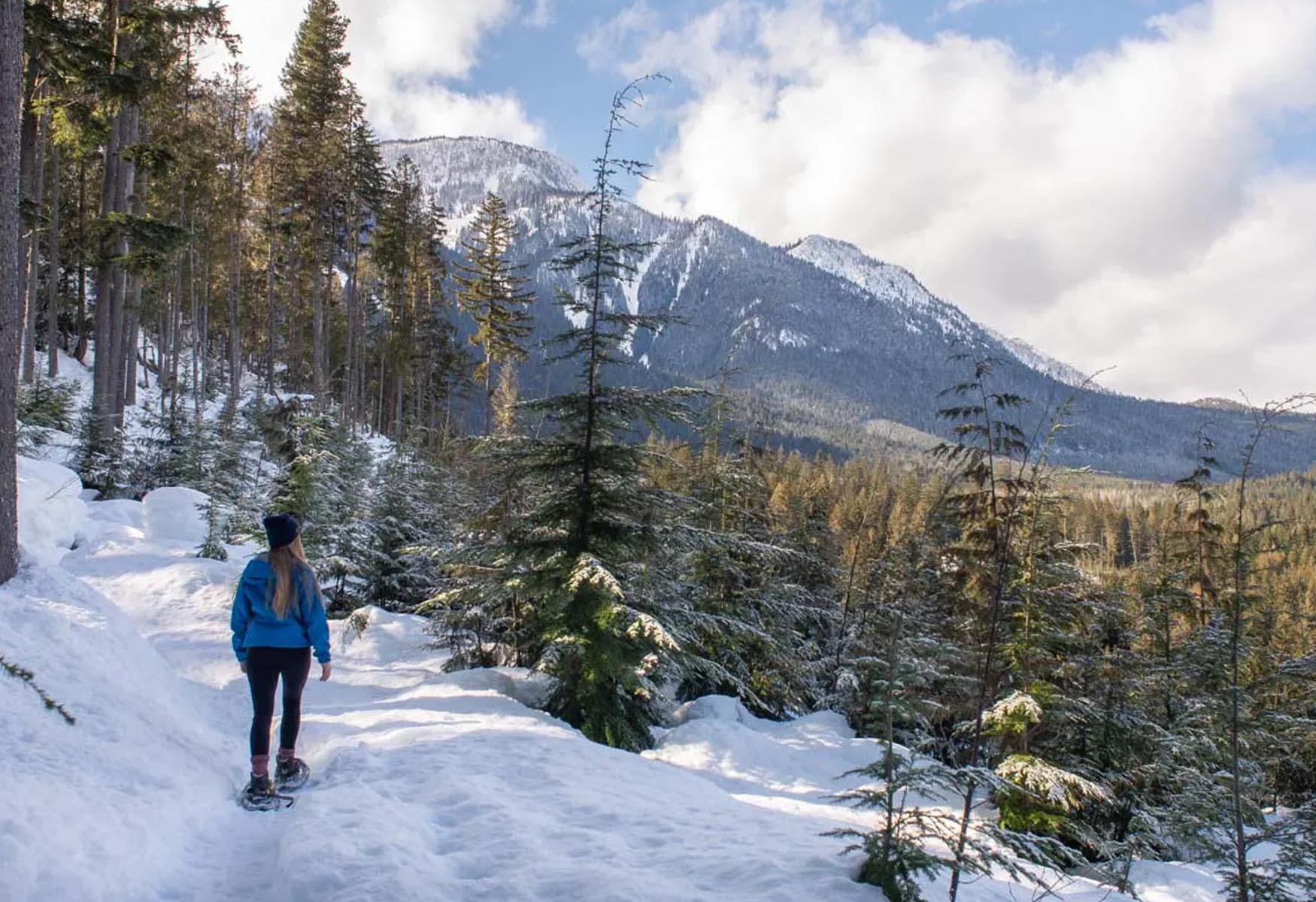 Where To Stay In Revelstoke: The BEST Areas