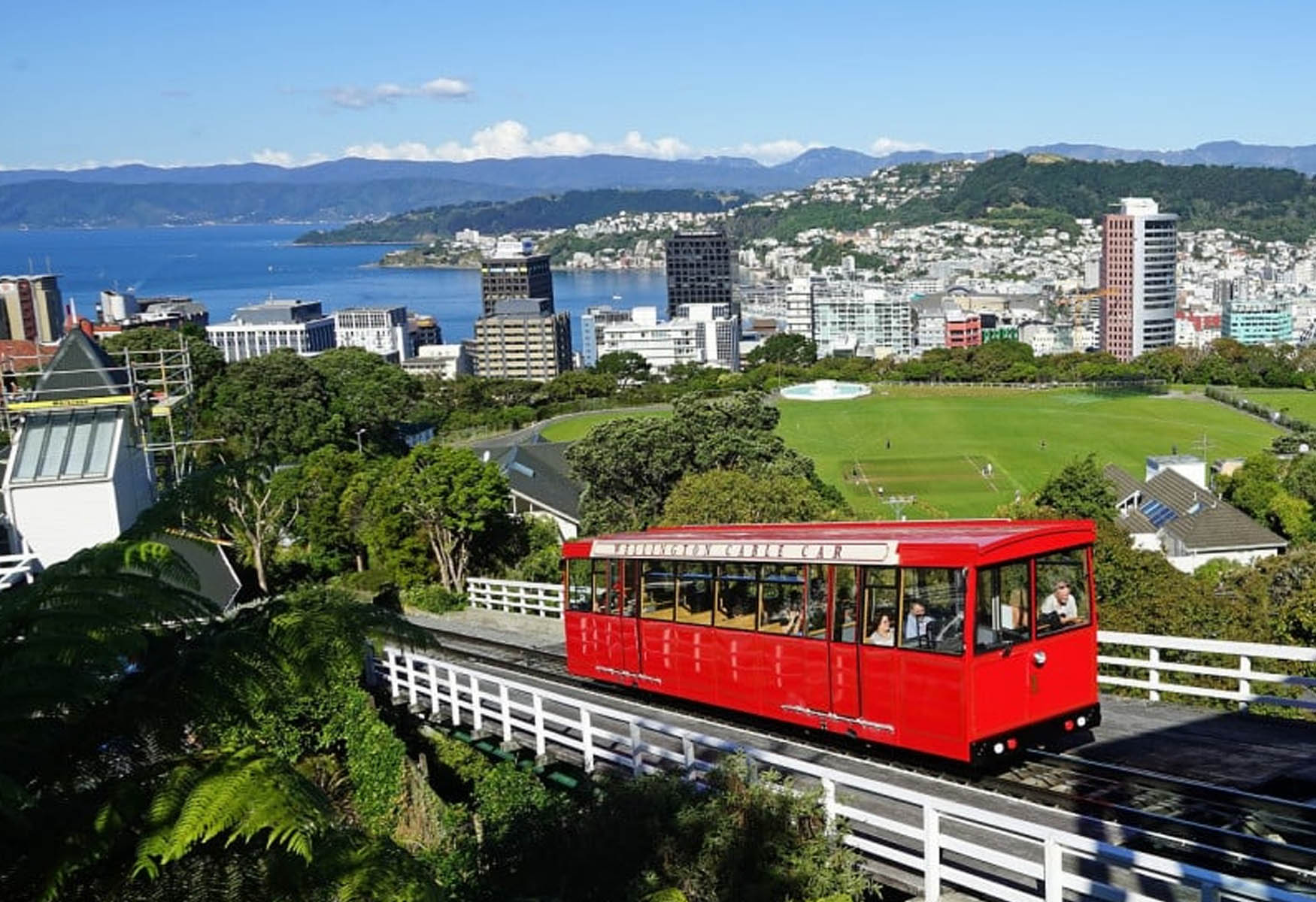 Where To Stay In Wellington (TOP 5 Areas)