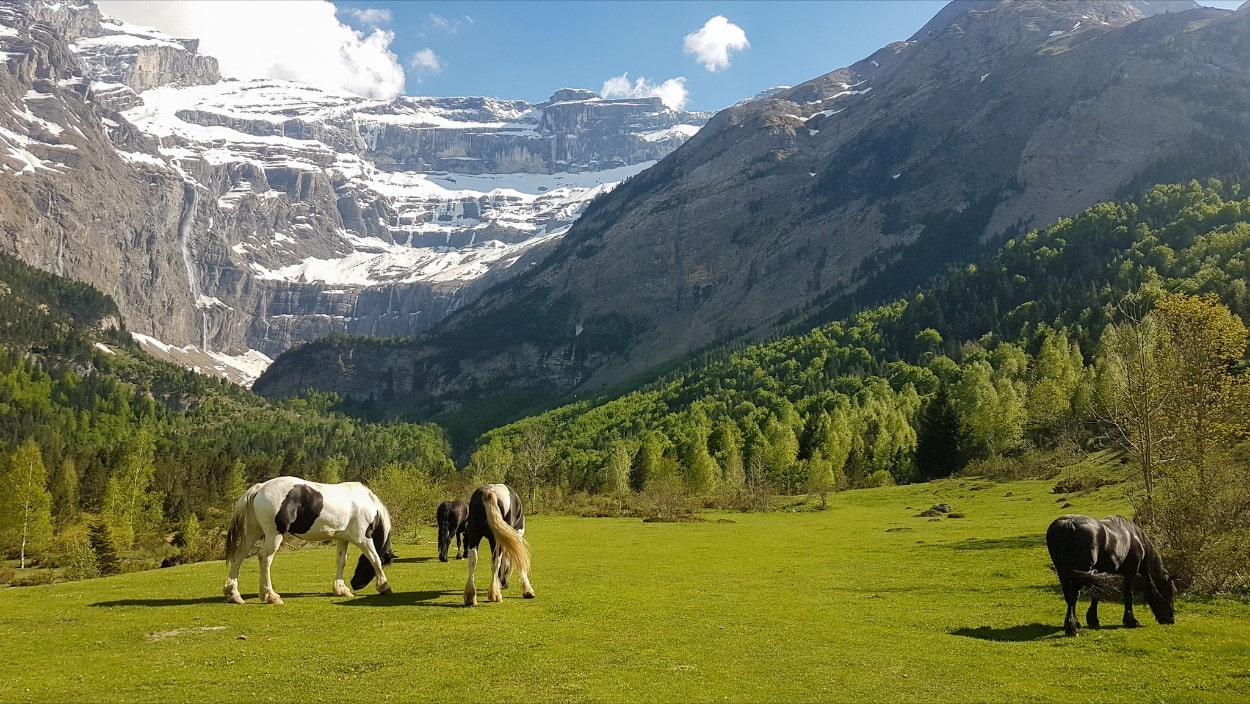 A Journey Through The Pyrenees