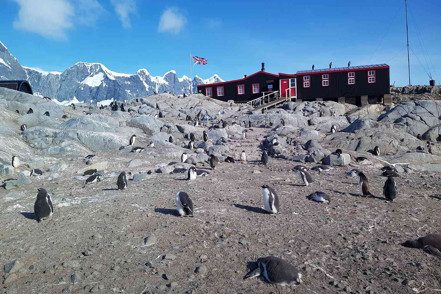 A Postal Office In Antarctica? You Betcha