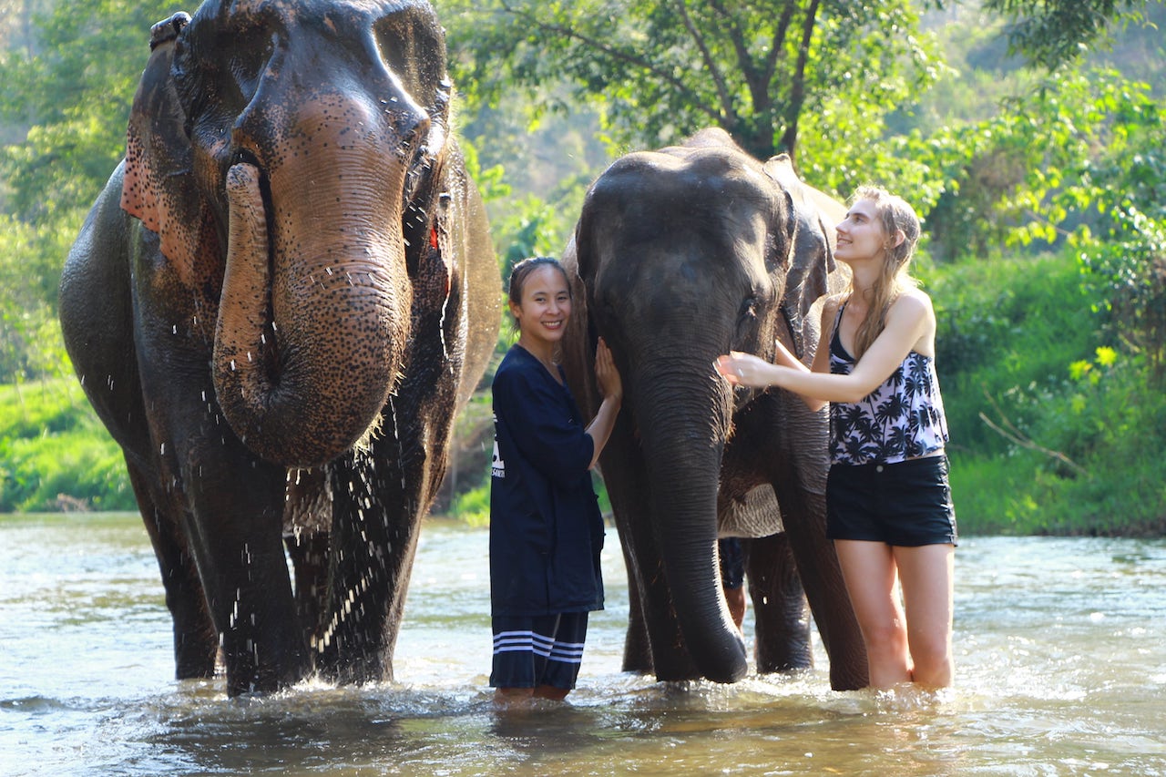 a-visit-to-an-elephant-sanctuary-in-chiang-mai
