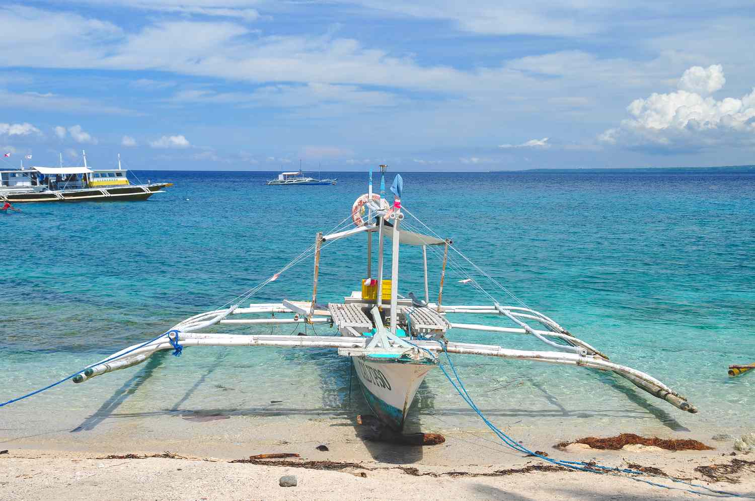 Apo Island Guide – Incredible Snorkeling & Diving (Dumaguete, Philippines)