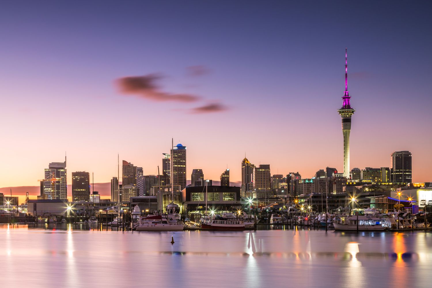backpacking-auckland-budget-travel-guide