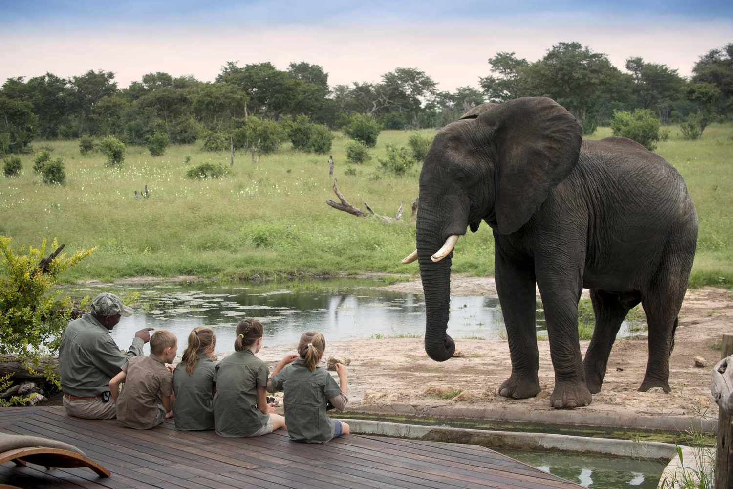 best-tips-for-going-on-safari-in-africa