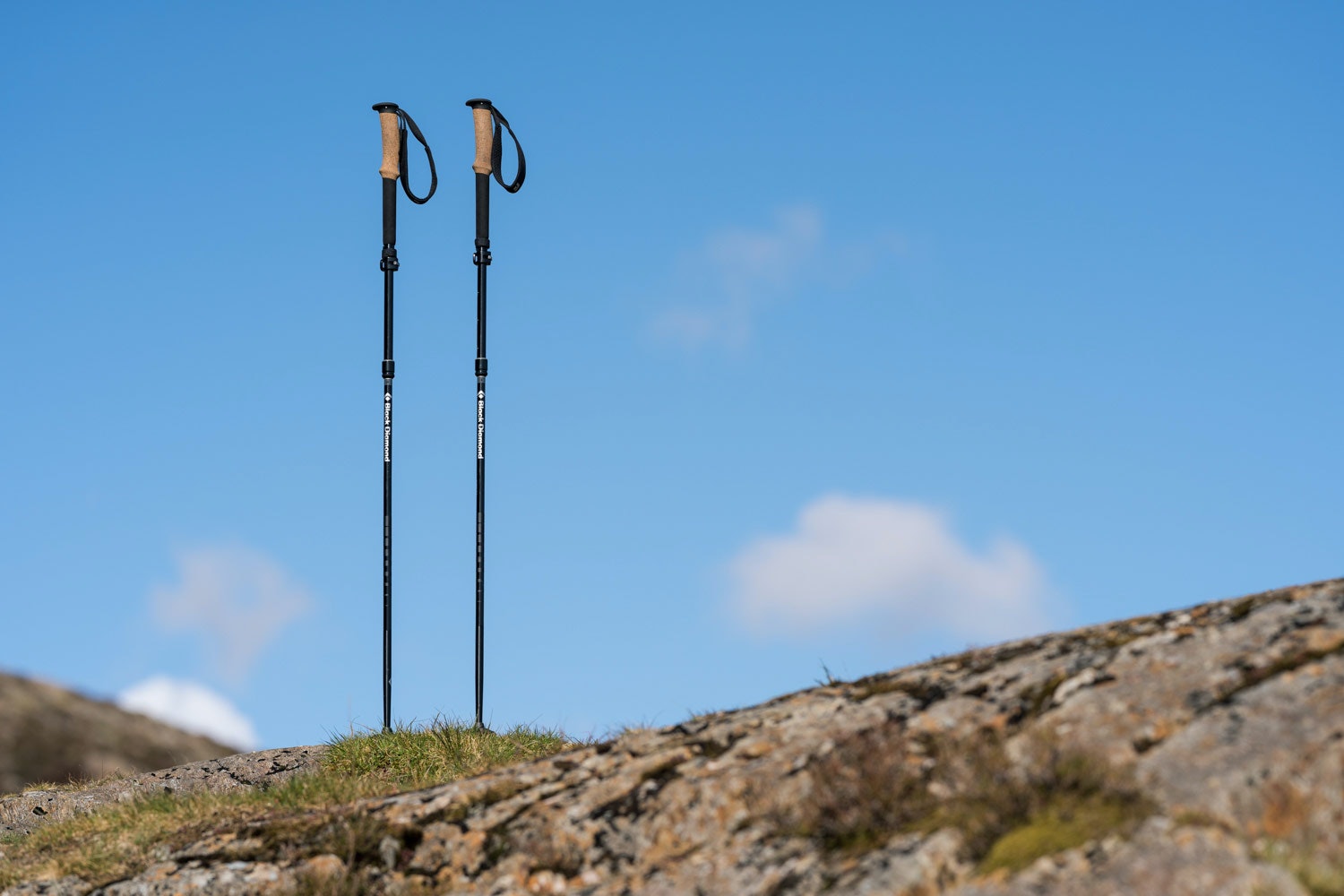 Black Diamond Alpine FLZ Trekking Poles Review