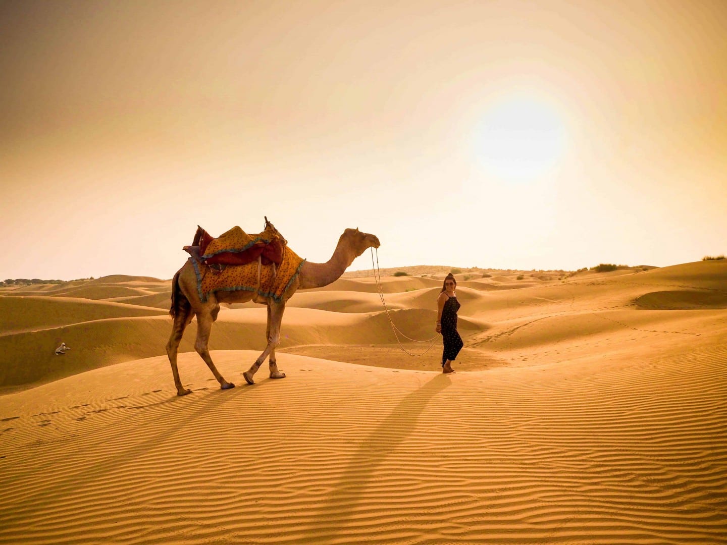 Camel Safari Jaisalmer, Not So Mystical In Rajasthan