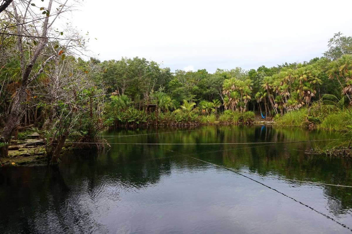 Cenote Cristal Tulum (Naharon) Complete Guide