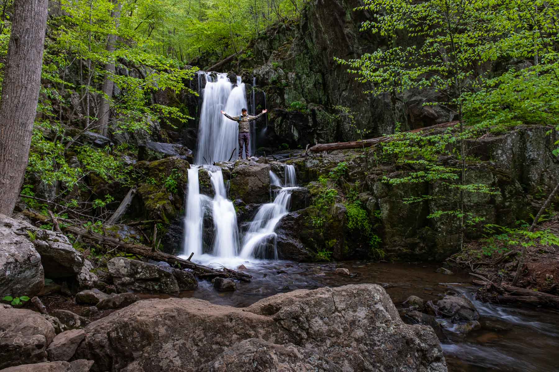 Dip Falls Tasmania – Epic Waterfall & Big Tree Walk Near Stanley