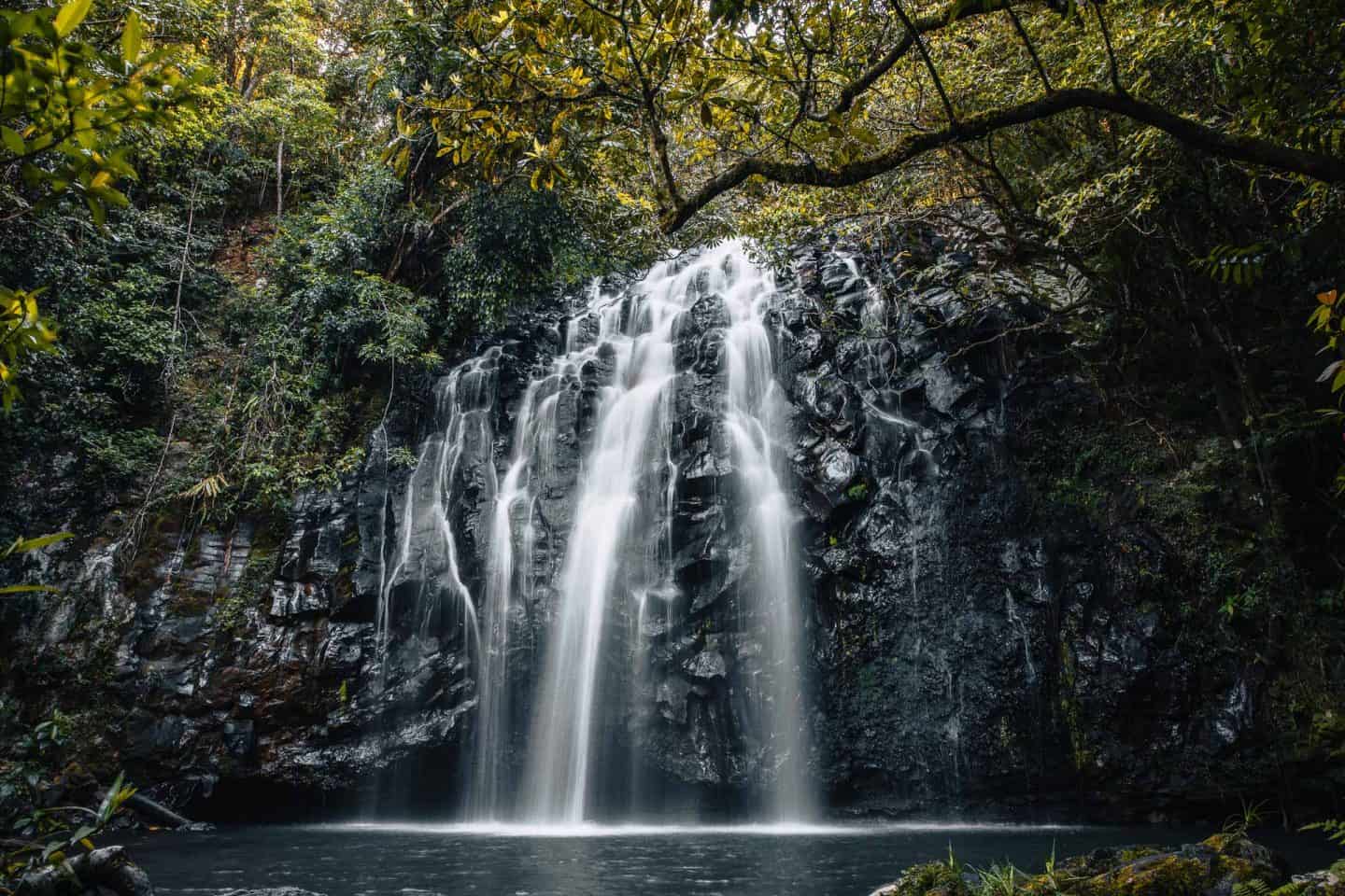 Ellinjaa Falls, Millaa Millaa, Queensland – What To Expect