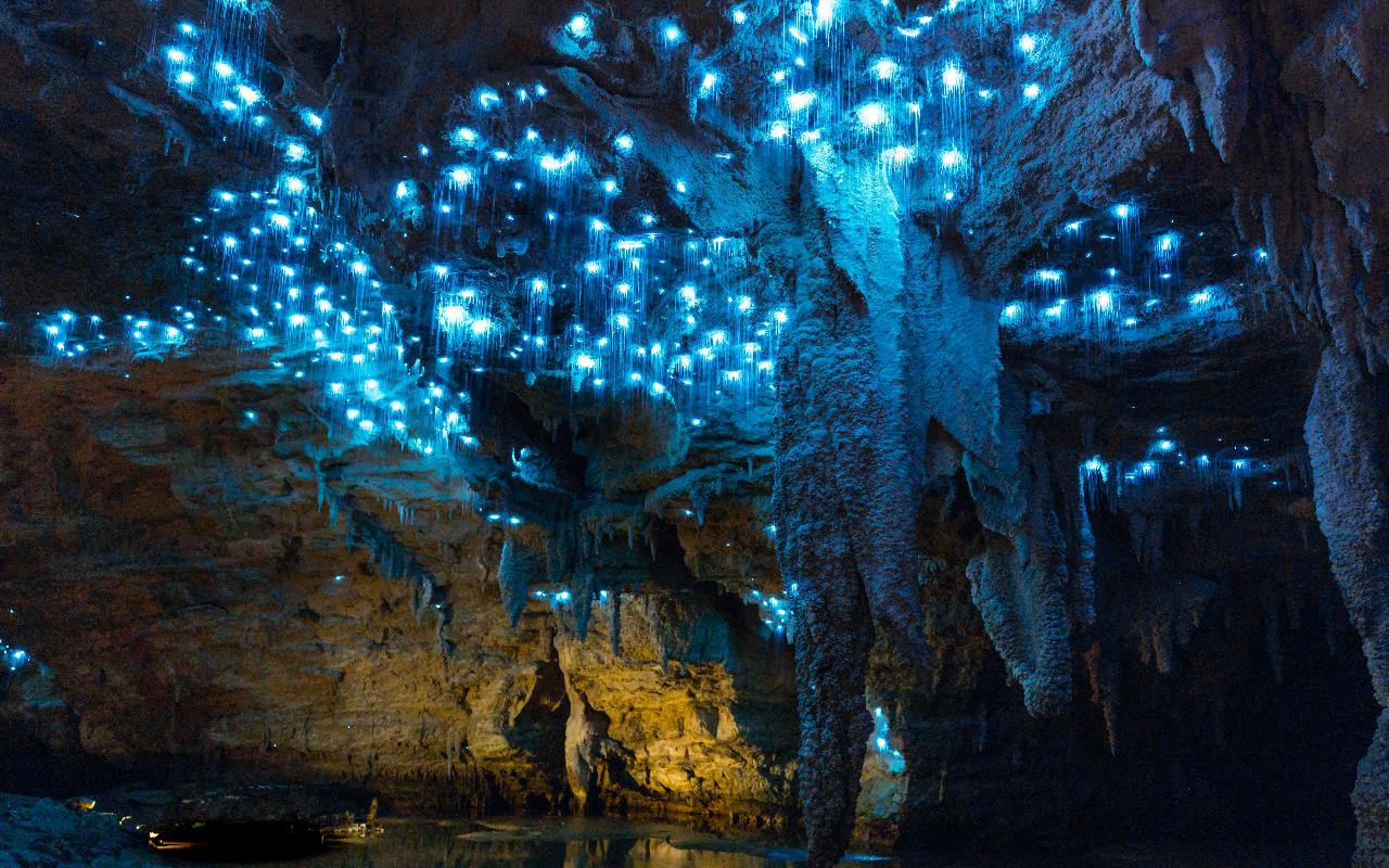 Glowworm Caves, New Zealand A Dazzling Display Of Light