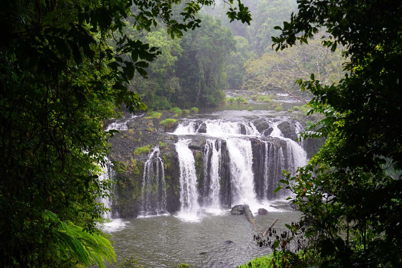 Guide To Tchupala Falls & Wallicher Falls – Wooroonooran National Park