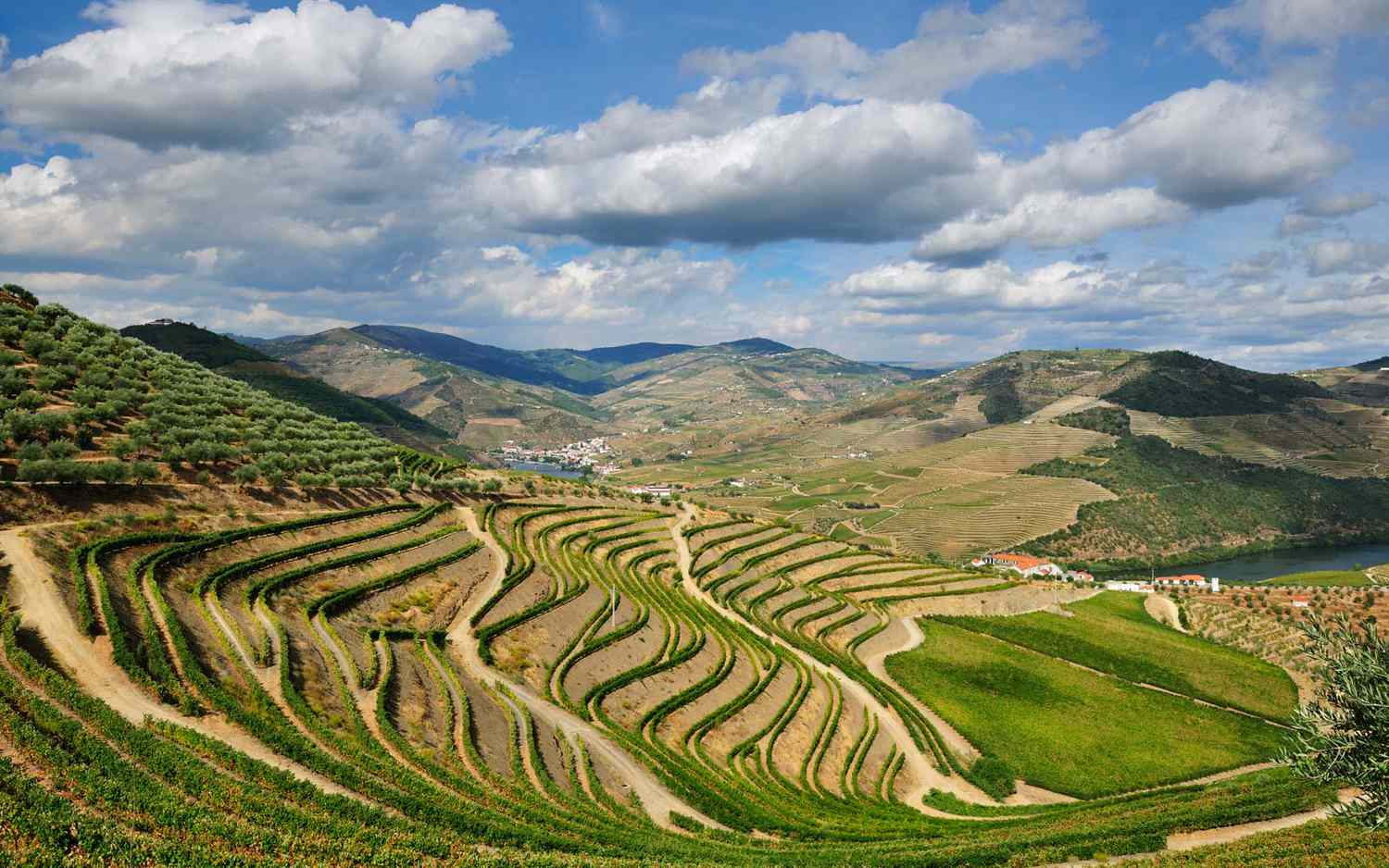 Guide To The Douro Valley From Porto – Portugal’s Famous Wine Region