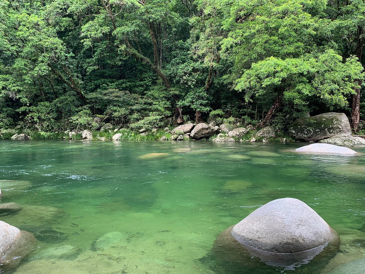 Guide To The Mossman Gorge & Rainforest Circuit Walk (Daintree)