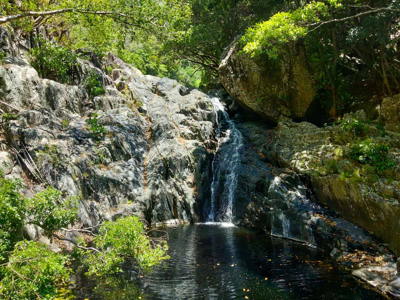 Hartleys Creek Falls – Cairns Waterfall Guide