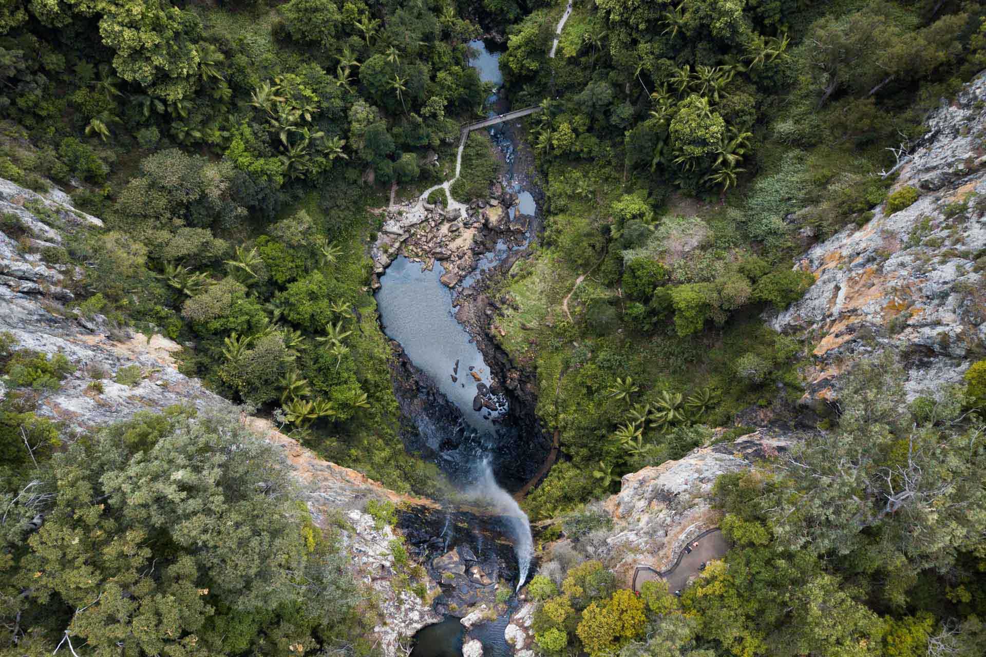 Hiking To Twin Falls Waterfall In Springbrook National Park