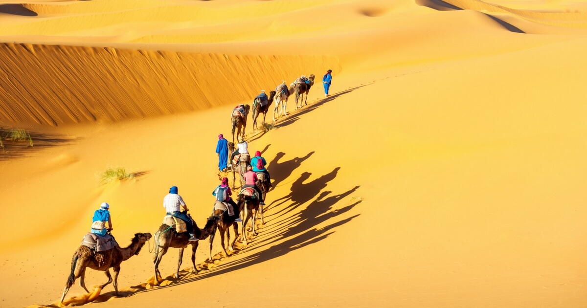 How To Plan A Camel Safari In Jaisalmer – Overnight Or 2-day Options