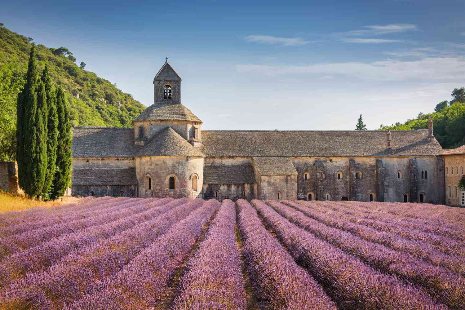 How To Plan An EPIC Gap Year In France