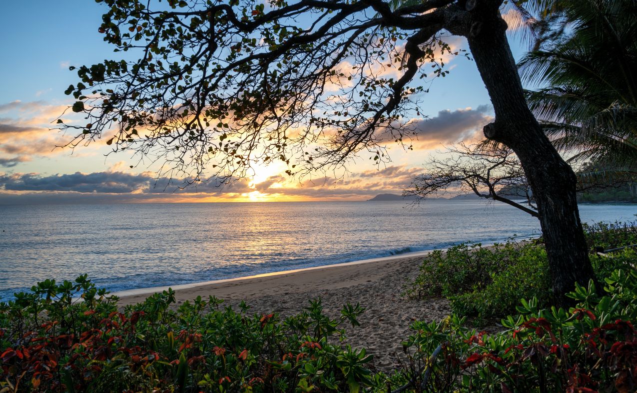 Mason’s Swimming Hole – Epic Cape Tribulation Swimming Spot