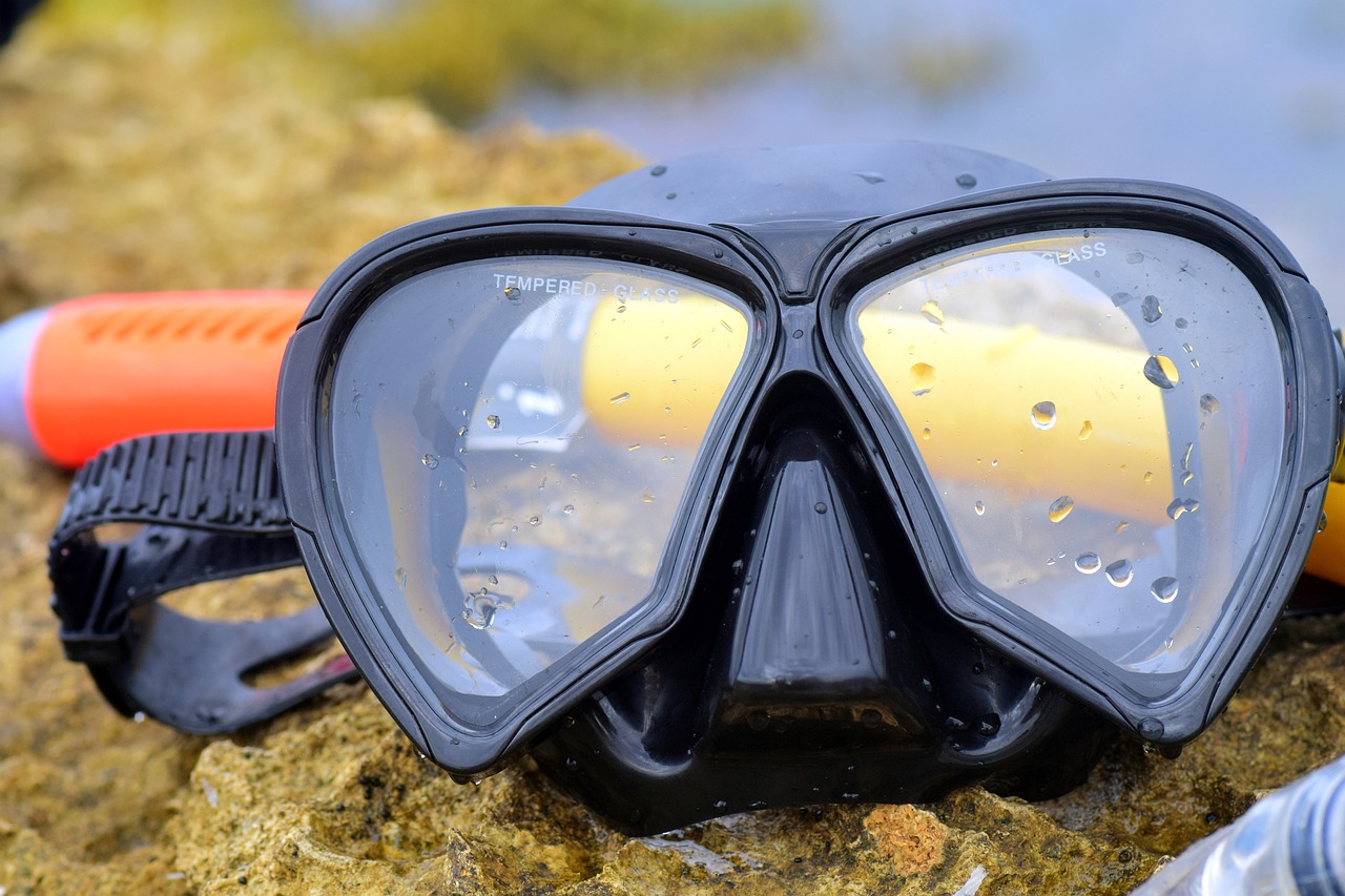 Snorkelling 101: How To Snorkel For Beginners Guide