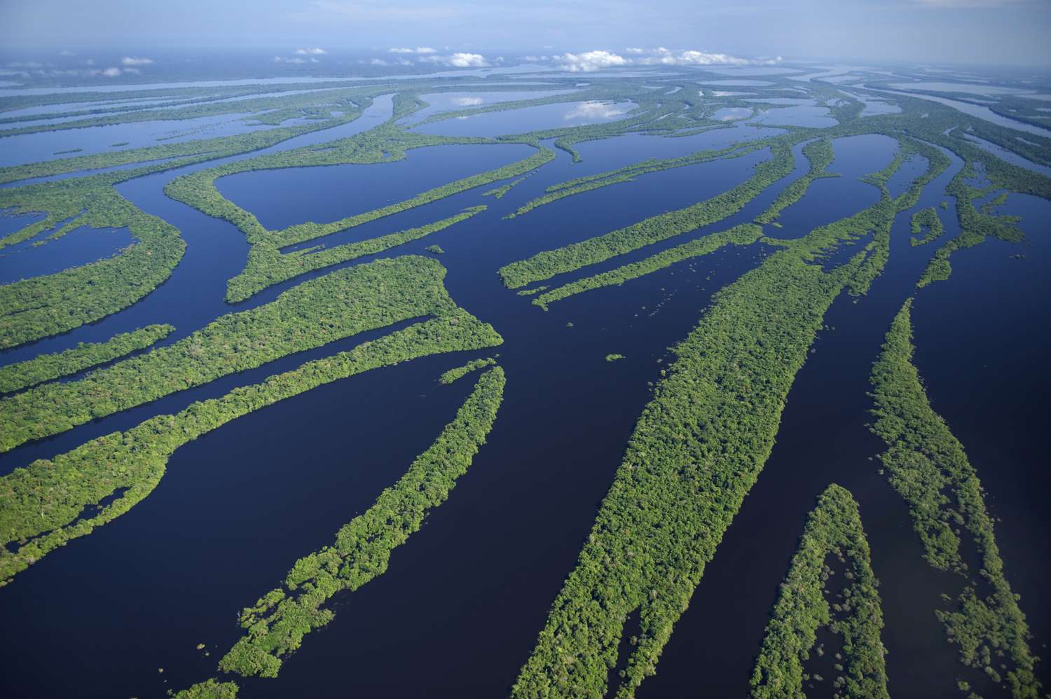 Surprising And Fun Facts About The Amazon River