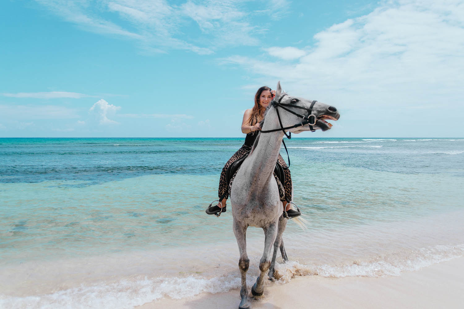 swimming-with-horses-in-jamaica