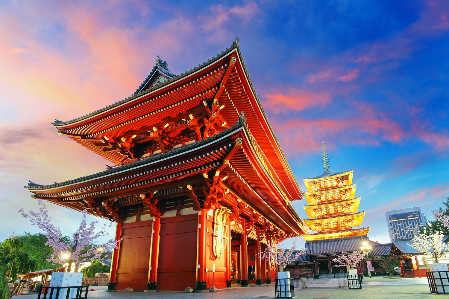 The Best Things To Do In Tokyo, Japan