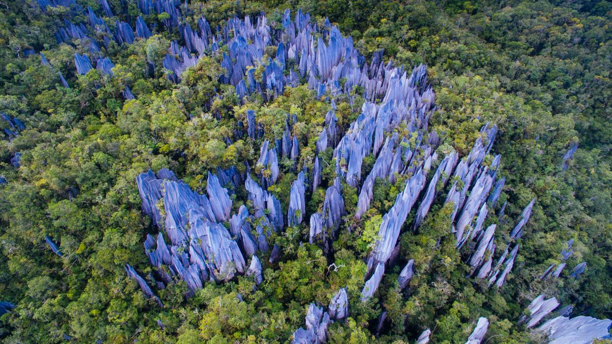 The Pinnacles Of Borneo – Amazing Wonder Of Gunung Mulu National Park