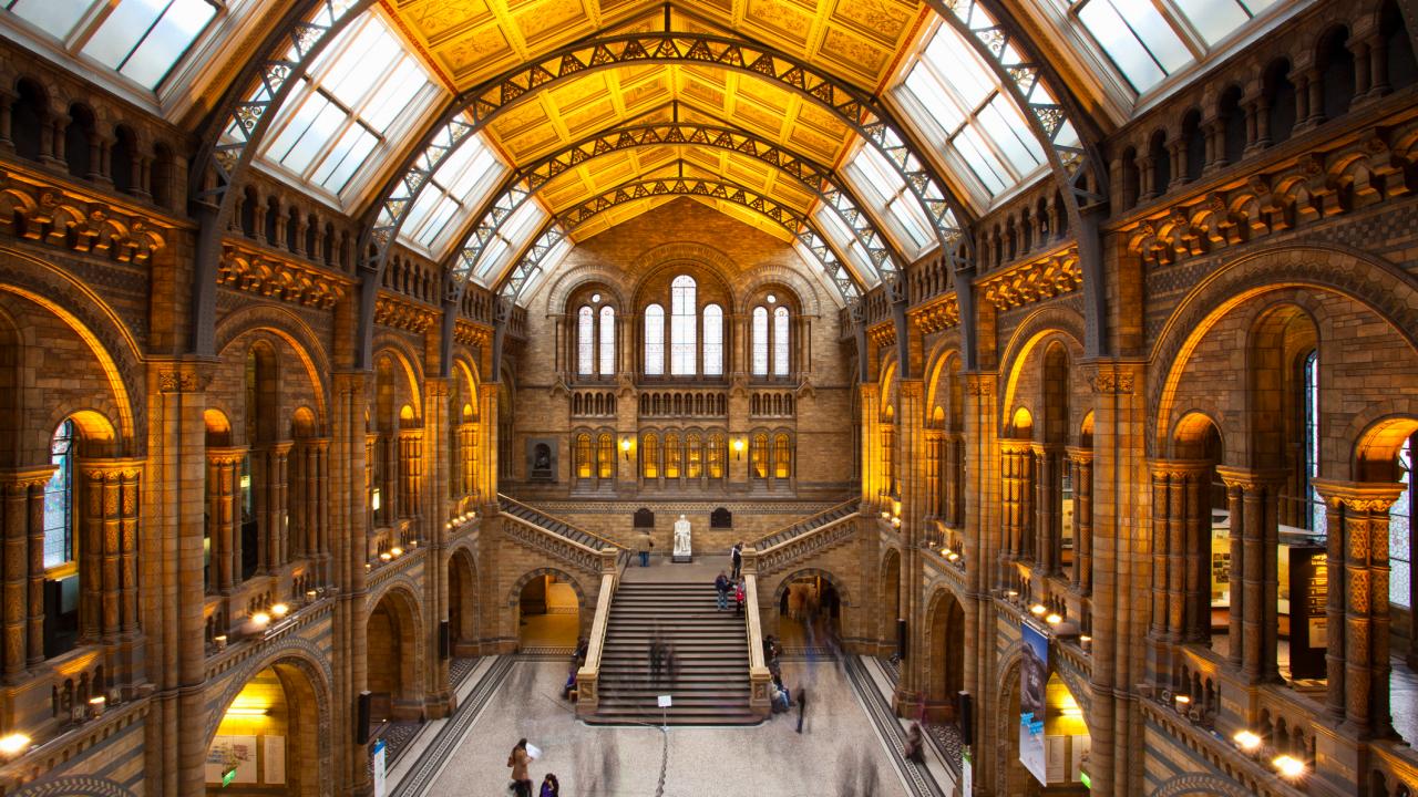the-top-5-museums-in-london-you-have-to-see