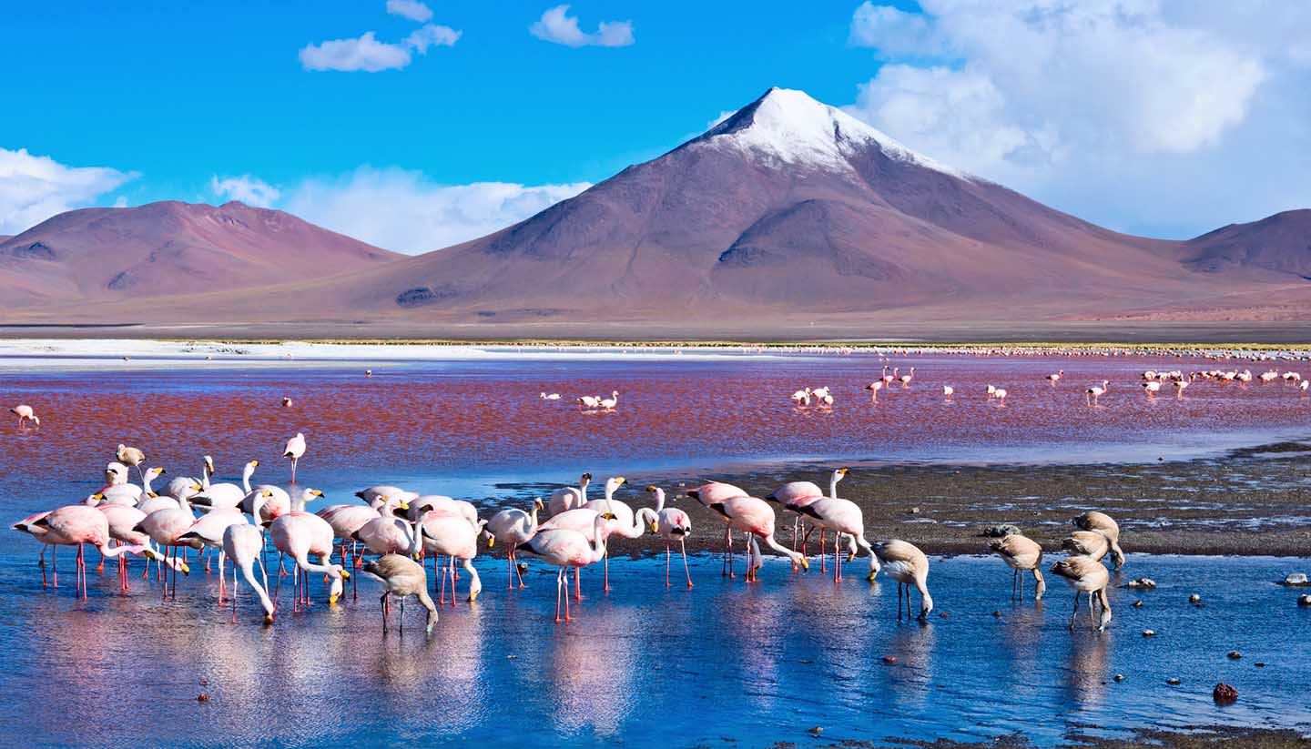 Top 5 Things To Do In Bolivia