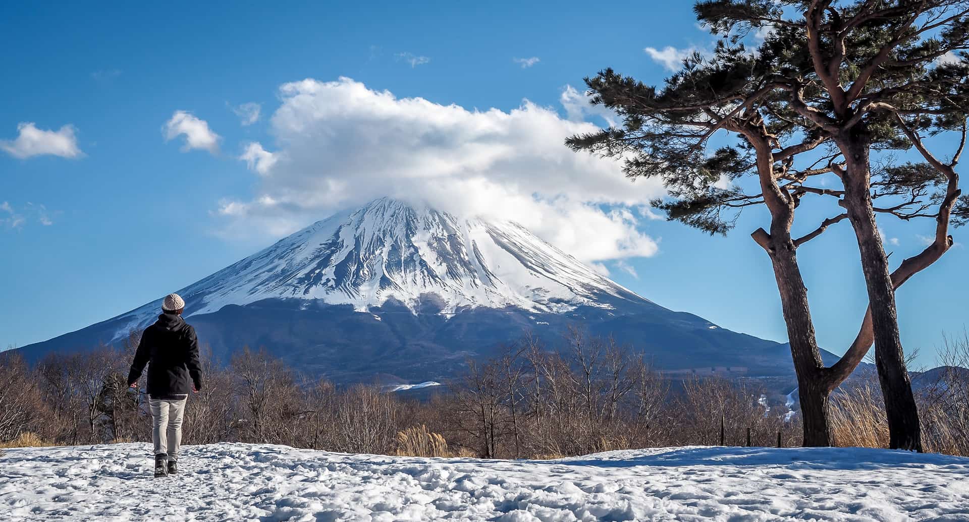 UPDATED: Backpacking Tokyo Travel Guide