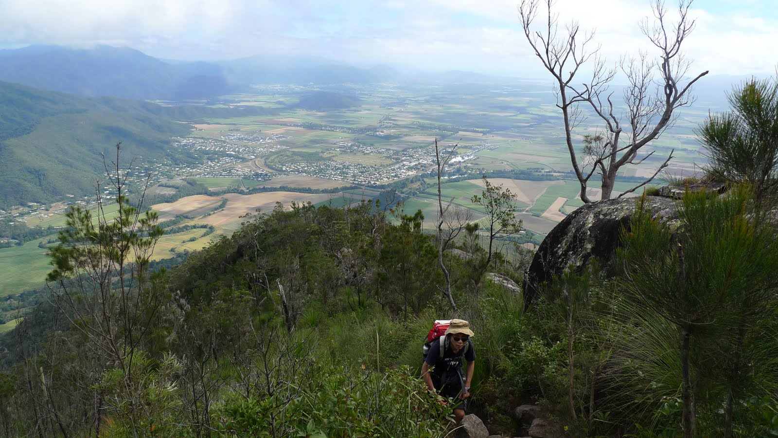 Walsh’s Pyramid Hike In Cairns – Complete Hiking Guide