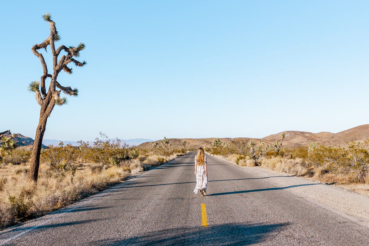 Essential Tips For Your Joshua Tree Road Trip