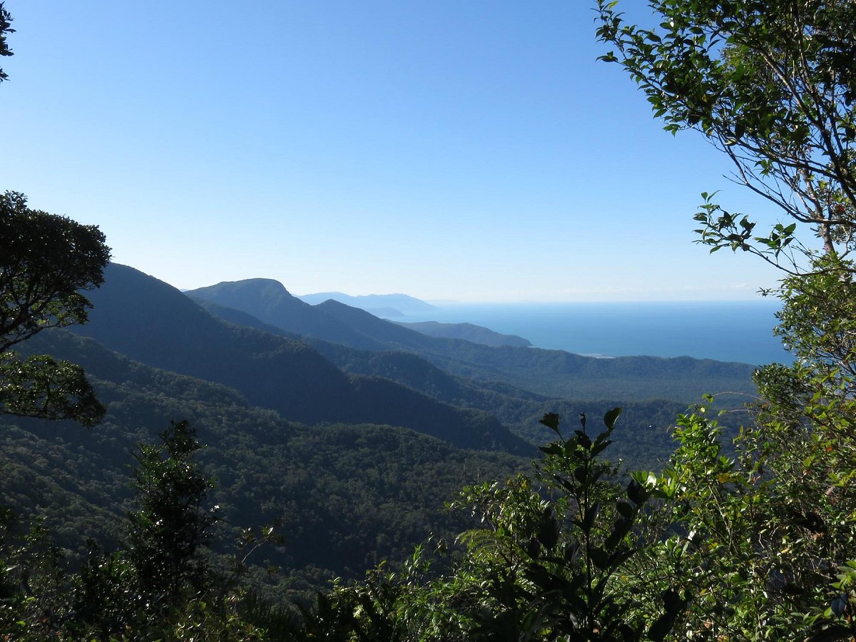 Ivan Evans Walk, Waddlebla Peak & Boiboi Peak – Cairns Hiking Guide