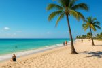 The Best Time to Visit Florida for Great Weather